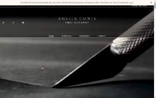 Amelia Conte Photography