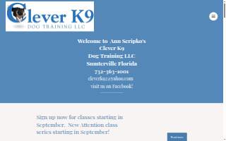 Clever K9 Dog Training LLC
