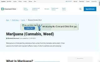 Marijuana Doctor Lake City FL website