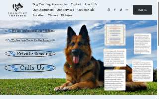 K9 Cognitive Training