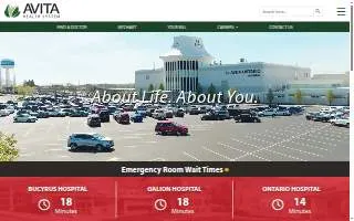 Avita Medical Clinic of Lake Magdalene website