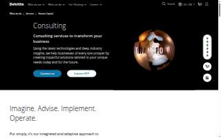 Consulting Agency LLC