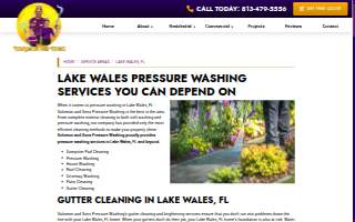 Solomon and Sons Pressure Washing