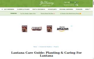 Lantana-Atlantis Animal Hospital