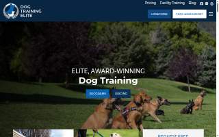 Dog Training Elite Carmel / Fishers