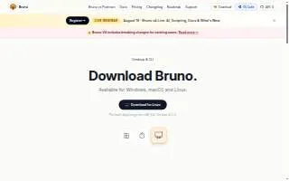 Bruno Law Offices of Savoy website
