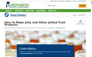 Jelly Bean Junction Early Learning Center of Melbourne website