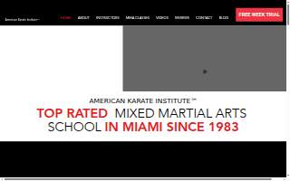 American Karate Institute