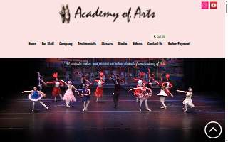 Academy of Arts Inc
