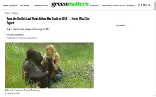 Koko-Bone Pet Boutique & Mobile Grooming website