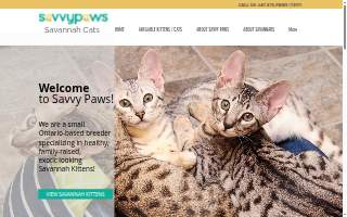 Savvy Paws Pet Resort