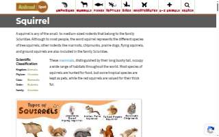 Squirrel Tree Services, Inc. website