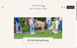 SIT STAY Tay Dog Training