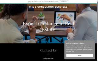 ML CONSULTING SERVICES