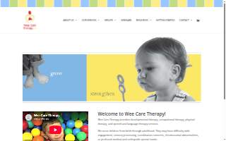 Wee Care Pediatric Therapy