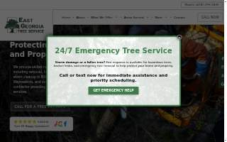 East Georgia Tree Service