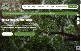 Tree Surgeon Atlanta, LLC