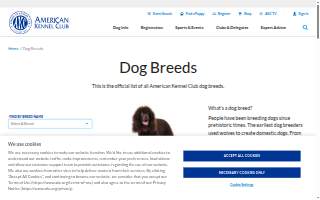 Dog Play Day Care - Pet Grooming, Training, & Boarding