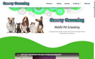 Groovy Grooming