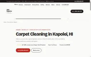 The Carpet Cleaning Company Kapolei website