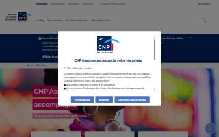 CNP Services LLC