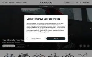 Canyon Web Pros of Kuna website