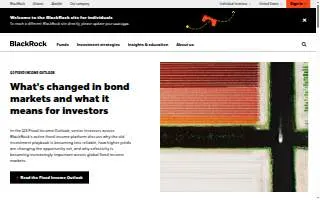 BlackRock Outdoor Living website