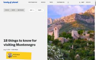 Montenegro's Painting & Construction LLC