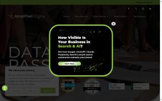 Amplified Digital Agency Twin Falls