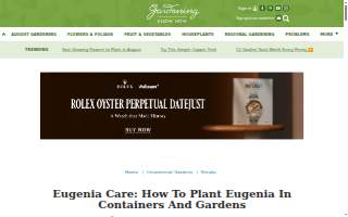 Eugenia’s Flowers