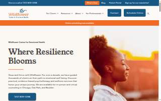 Wildflower Pediatric Therapy PLLC