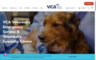 Veterinary Emergency Group