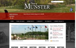 Munster Handyman Services
