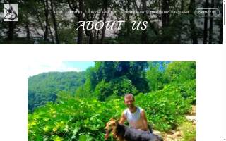 Best In Home Dog Services