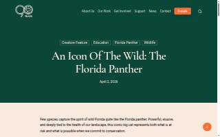 Panther Properties Charleston