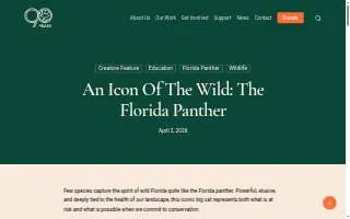 Panther Properties Charleston website