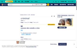 Criminal Defense Lawyer of Chicago