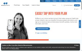 Blue Line Design & Construction