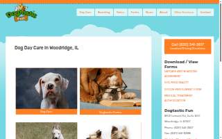 Dogtastic Fun