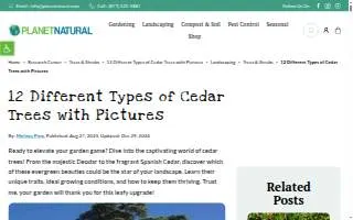 Cedar Lane Kennels of Downers Grove website