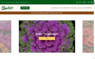 Pesche's Flowers of Des Plaines website