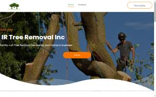 I R Tree Removal