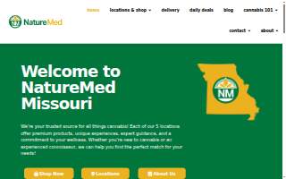 NatureMed Acupuncture