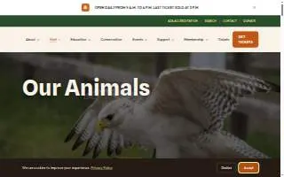 Beardsley's website