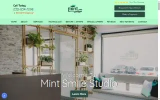 Mint Smile Studio of Elmhurst website