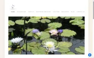 Blossom Wellness Centre of Elmhurst website