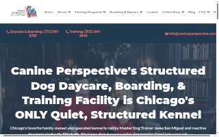 Canine Perspective: Structured Daycare, Boarding & Training