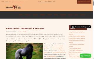 Silverback Tire and Service
