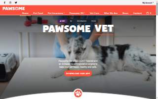 Pawsome Pet Sitting LLC