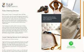 Tulip Cleaning Services